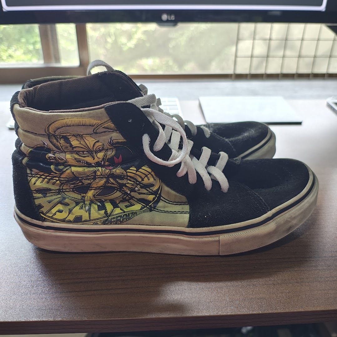 ヴァンズ　バンズ　VANZ　スティーブキャバレロ　Steve Caballero　9サイズ　27cm 超レア　超希少品