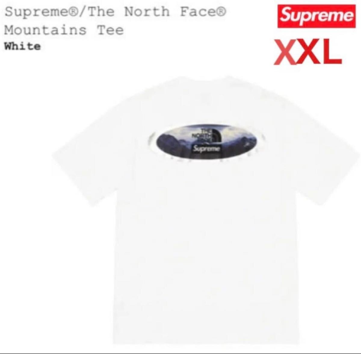 シュプリーム Tee レア！シュプリーム×ノースフェイス限定コラボビッグバックロゴ入りTシャツ Logo White 白