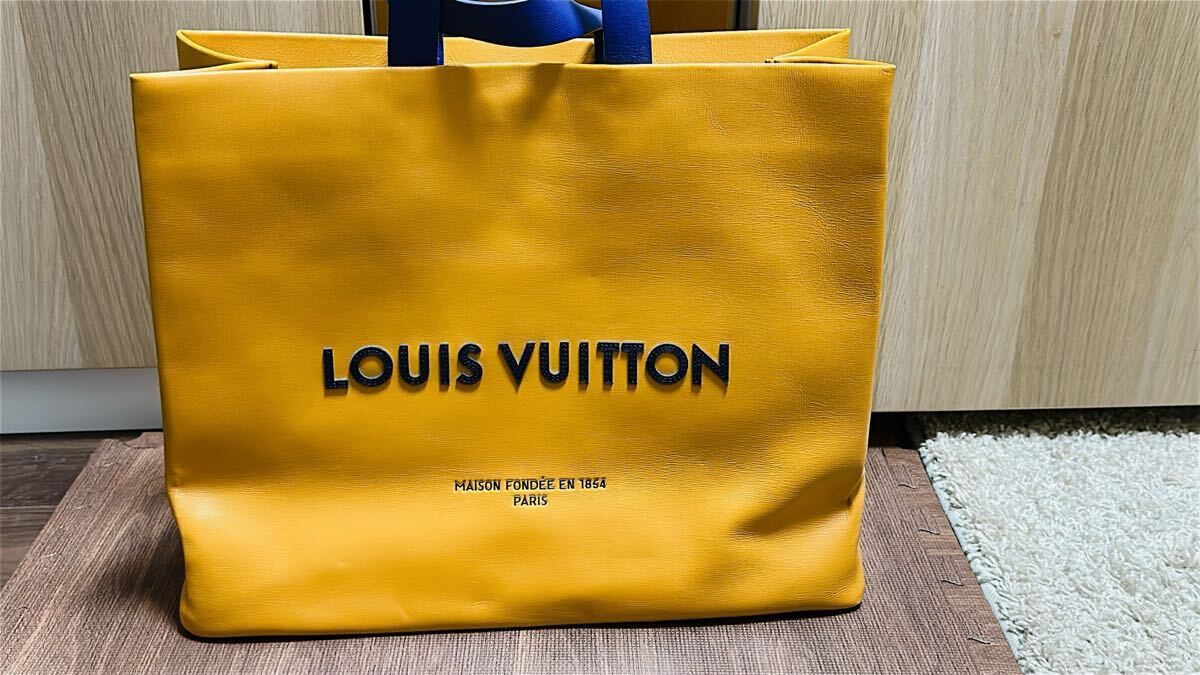 Dior Louis Vuitton ショッパー専用 ビニールバッグキット ルイヴィトン ショップ袋専用 ビニールバッグキット おまとめ