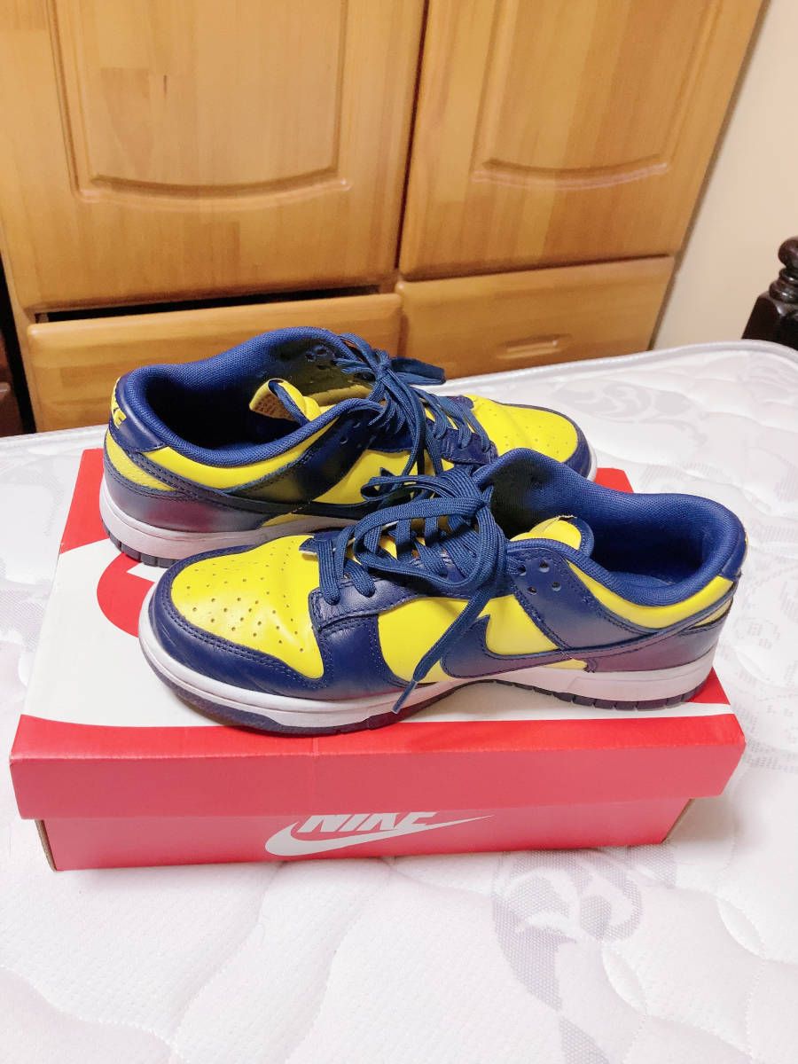 Nike Dunk Low 