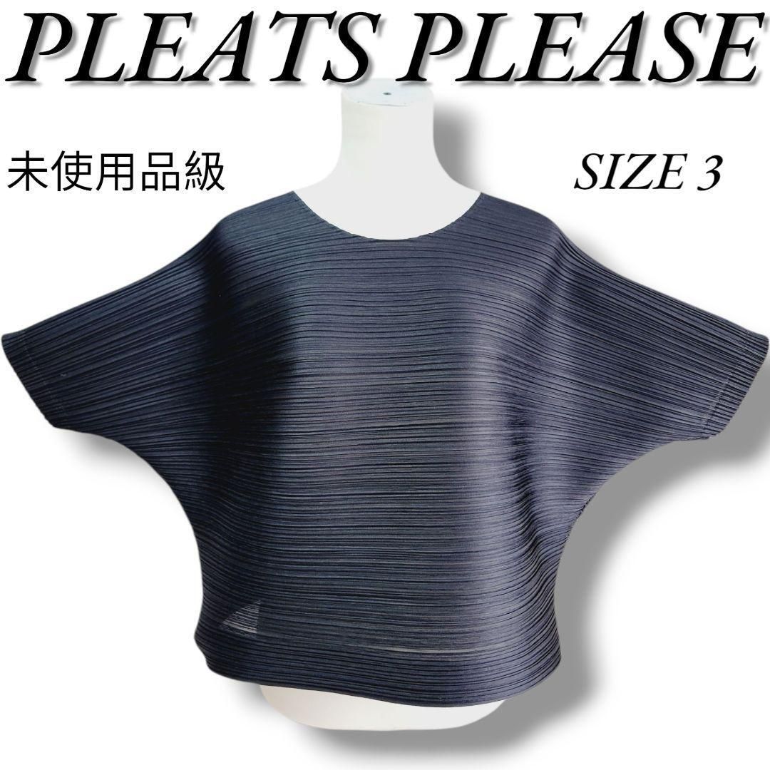 未使用品級 プリーツプリーズ イッセイミヤケ PLEATSPLEASEISSEIMIYAKE 横プリーツ バウンスドルマンスリーブカットソー トップス 