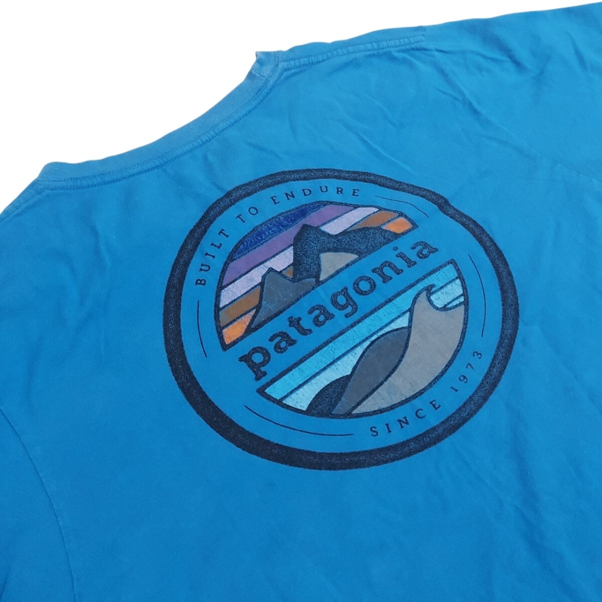 【希少★!!】Patagonia パタゴニア ロゴ マウンテン プリント アウトドア Tシャツ M メキシコ製