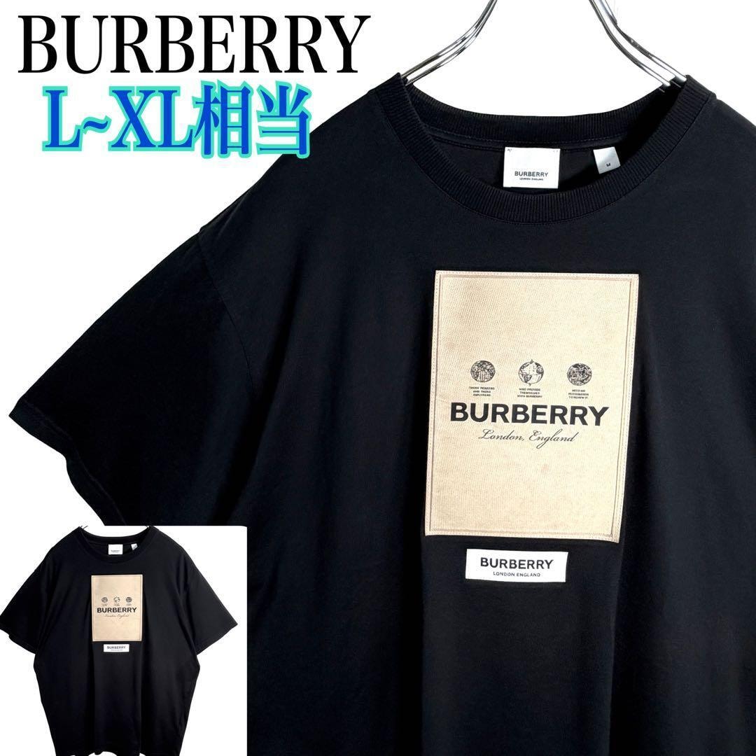 SEE SEE Nylon Crew LS Top 