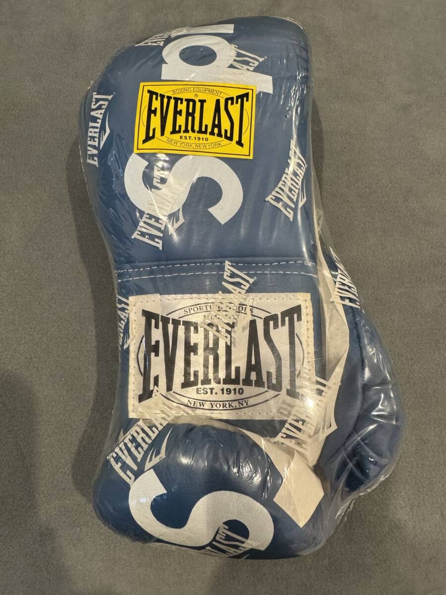 SUPREME EVERLAST GLOVES ボクシンググローブ