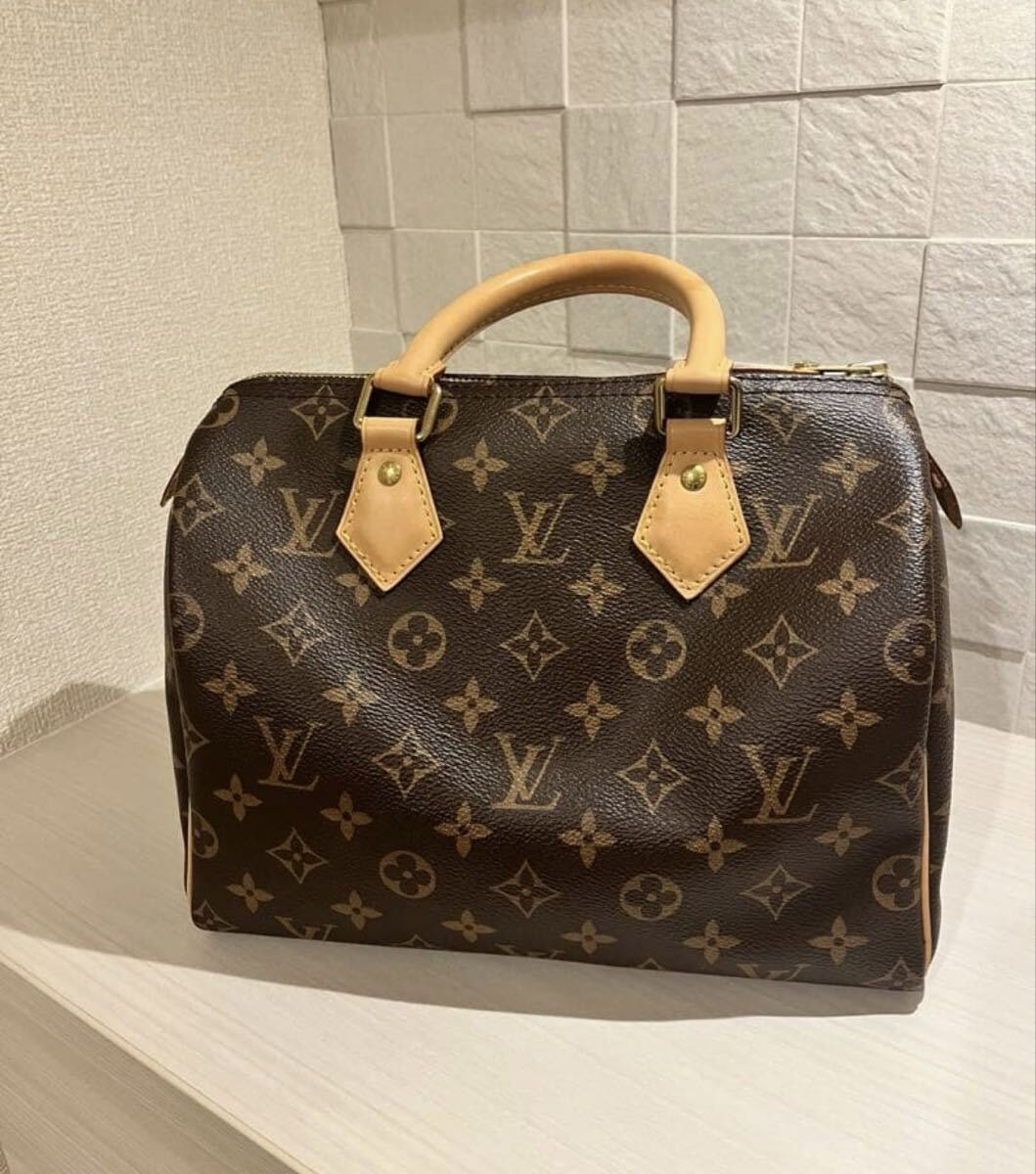 Louis Vuitton スピーディ25 ルイヴィトン ハンドバッグ