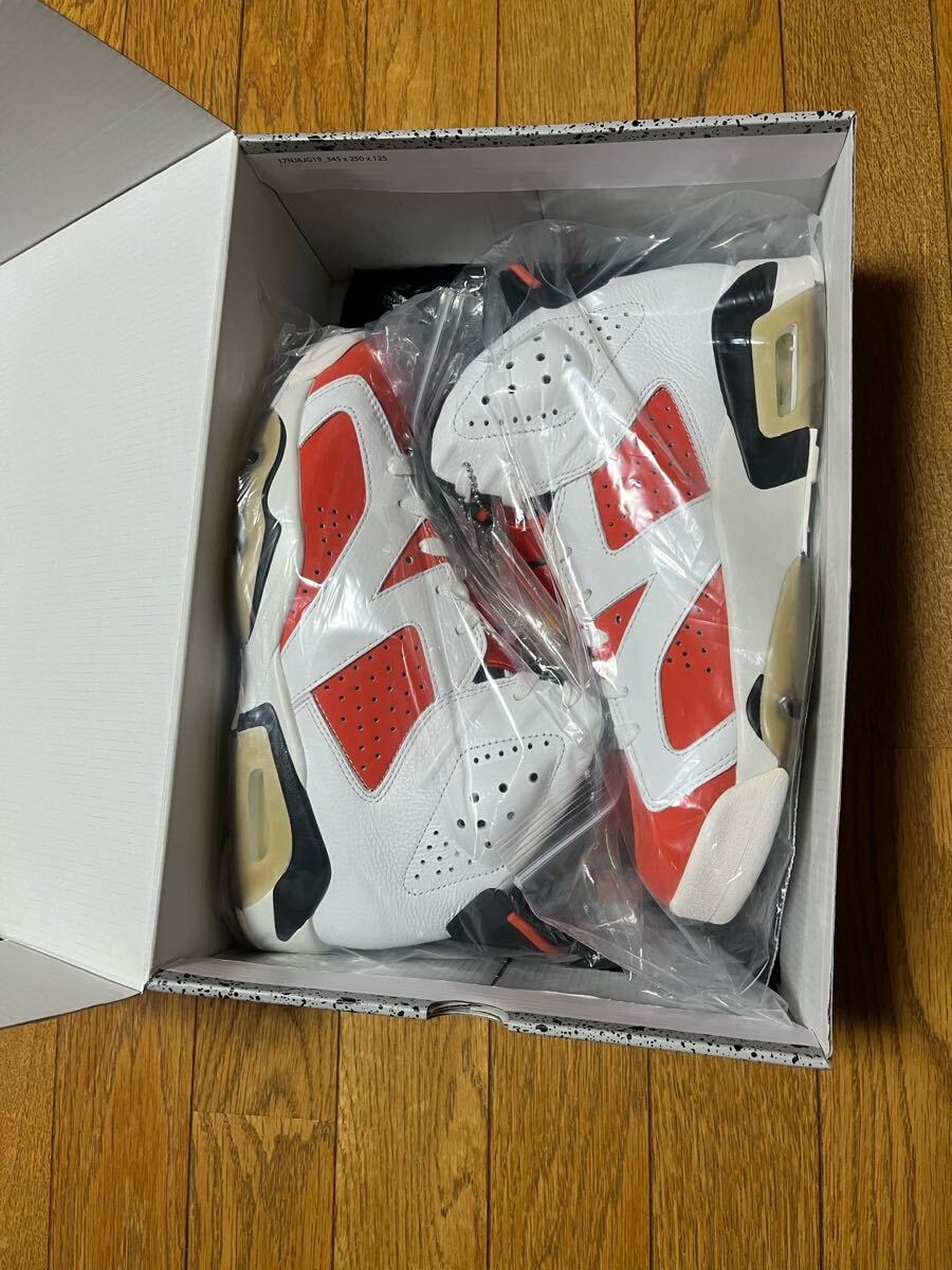 JORDAN6 ジョーダン6 NIKE ナイキ ゲータレード