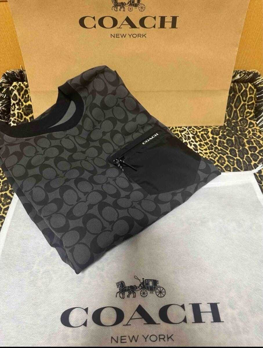 正規品 本物 希少激レア コーチ COACH ブラックシグネチャー 即完売 廃盤