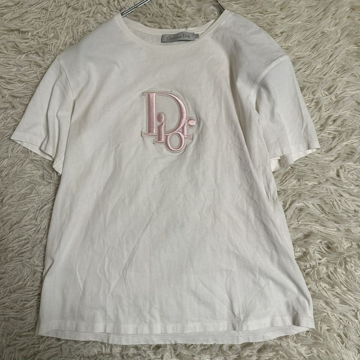 Dior ディオール Jordan ジョーダン Tシャツ グレー ディオール x エアジョーダン ウィングロゴ Tシャツ 