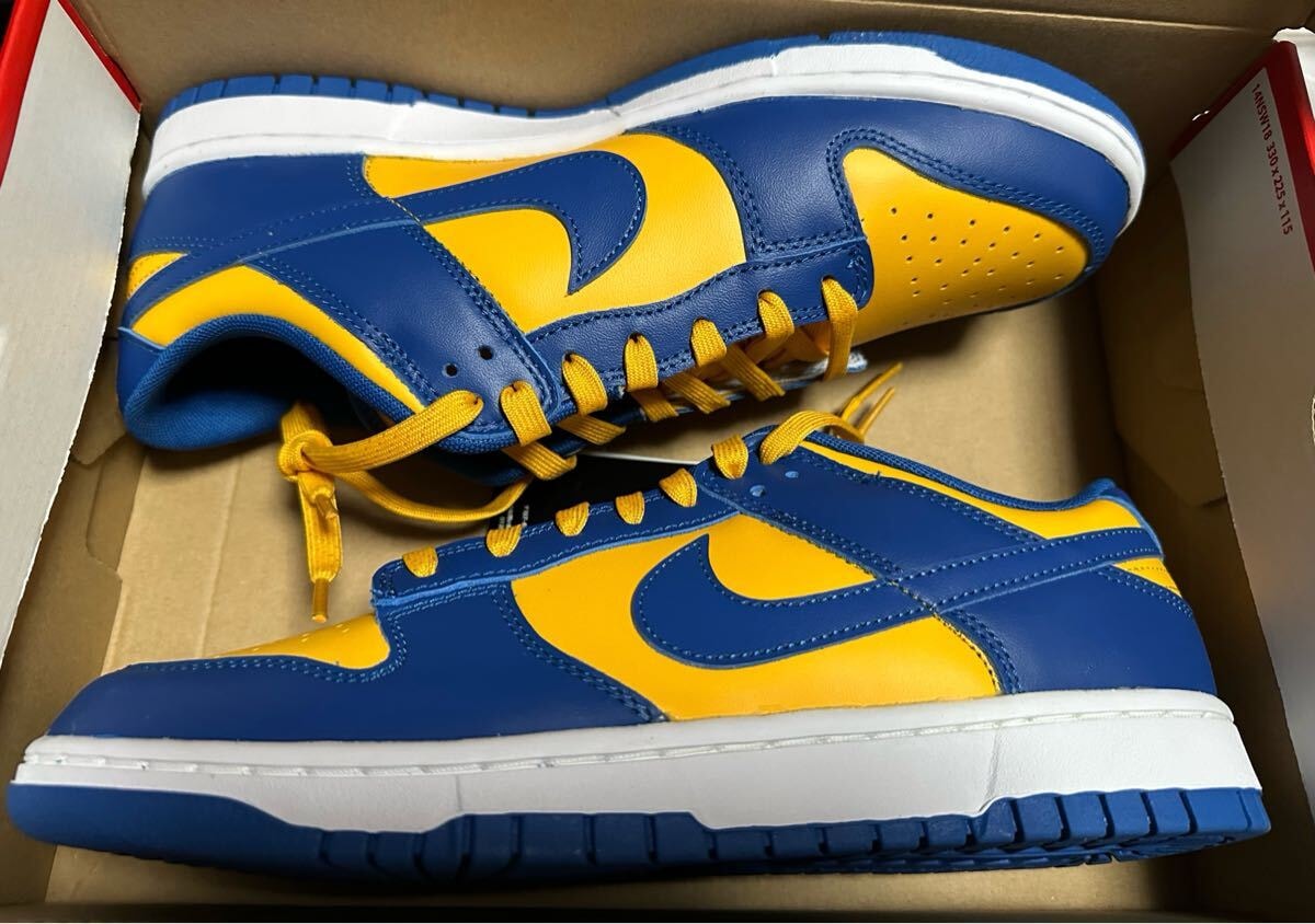 NIKE DUNK LOW RETRO 青/黄　28.5cm