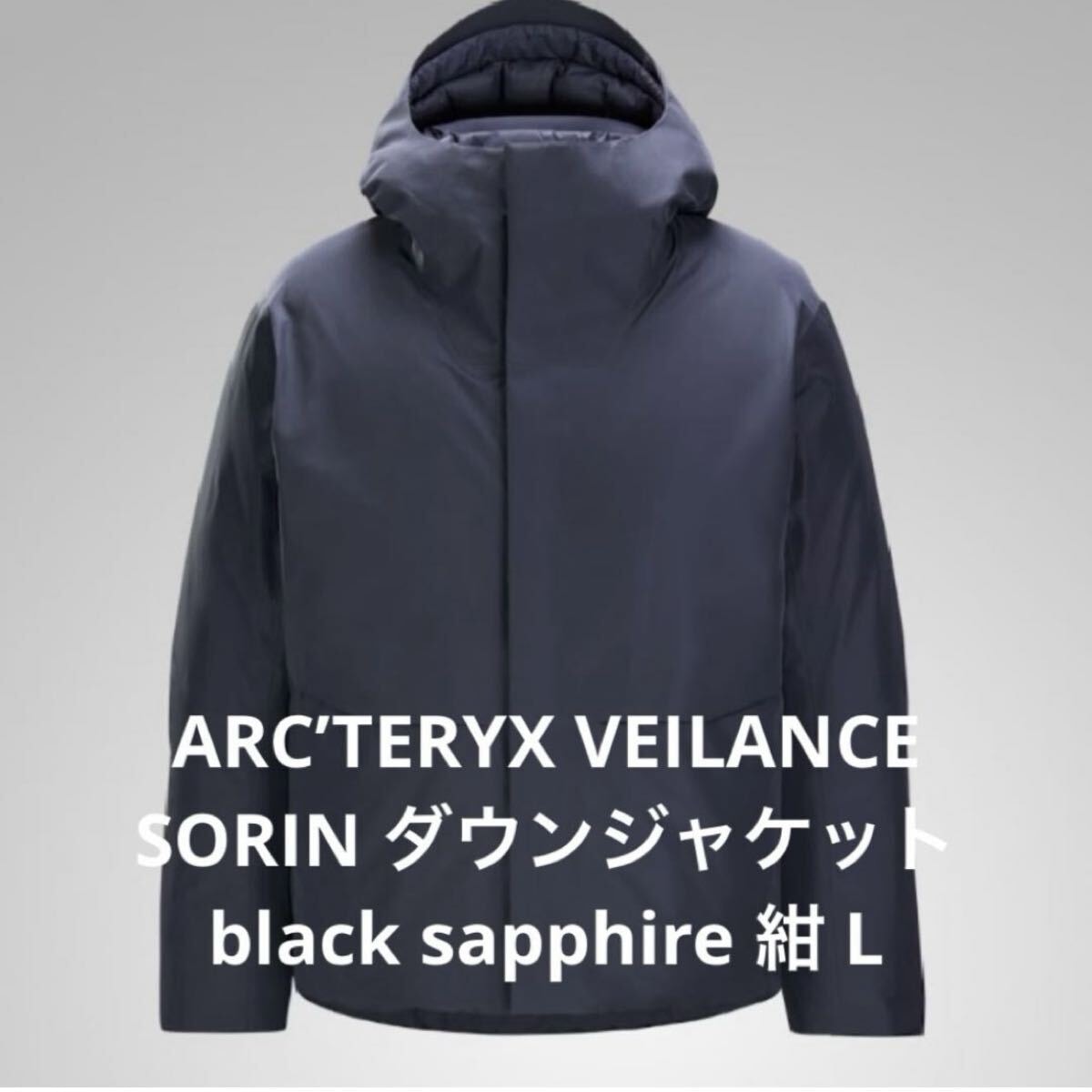 超美品 ARC’TERYX アークテリクス VEILANCE SORIN 紺