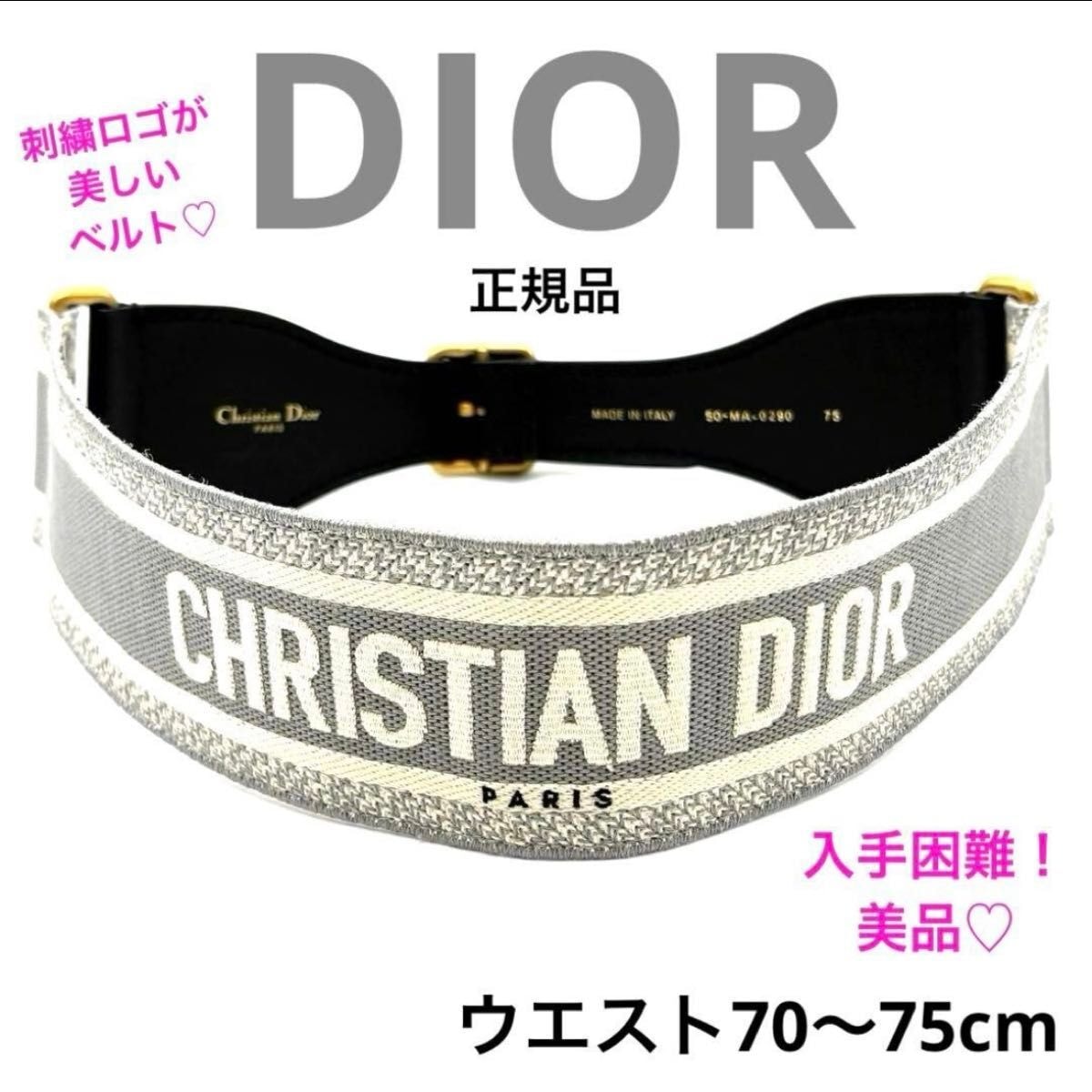 目立った傷や汚れなし】正規品 Dior エンブロイダリー ロゴ