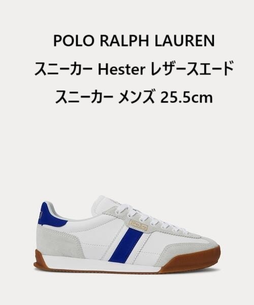 【新品】POLO RALPH LAUREN スニーカー Hester レザースエード スニーカー メンズ　２５．５ｃｍ