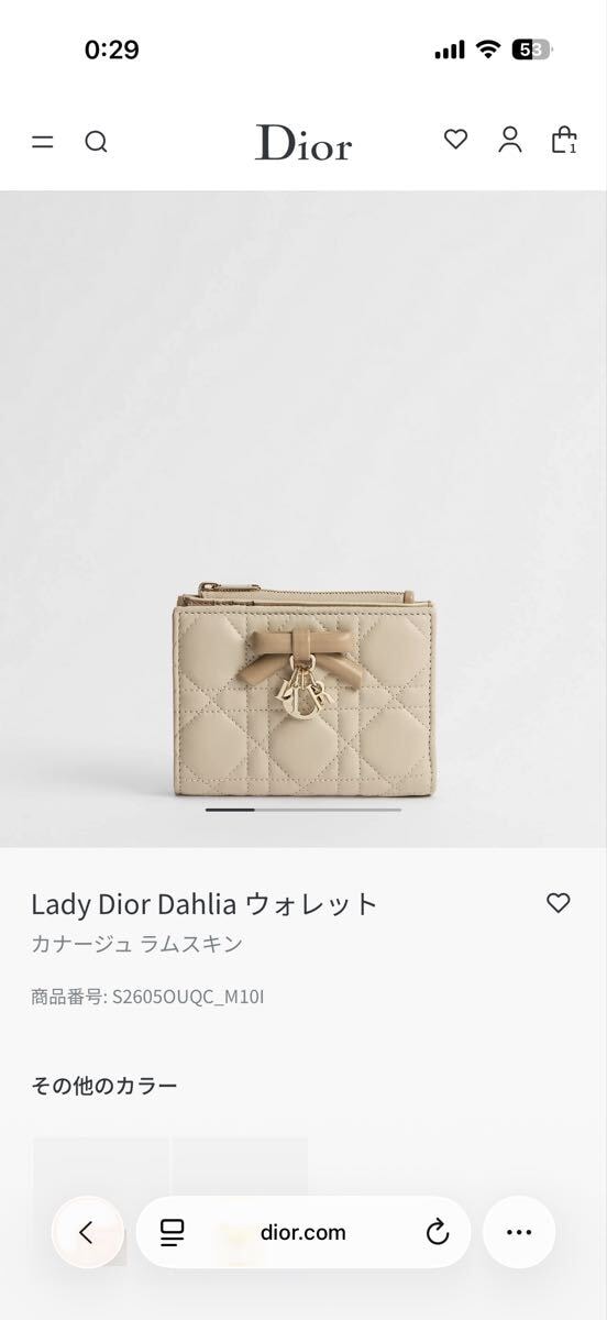 ディオール 名刺入れ 
