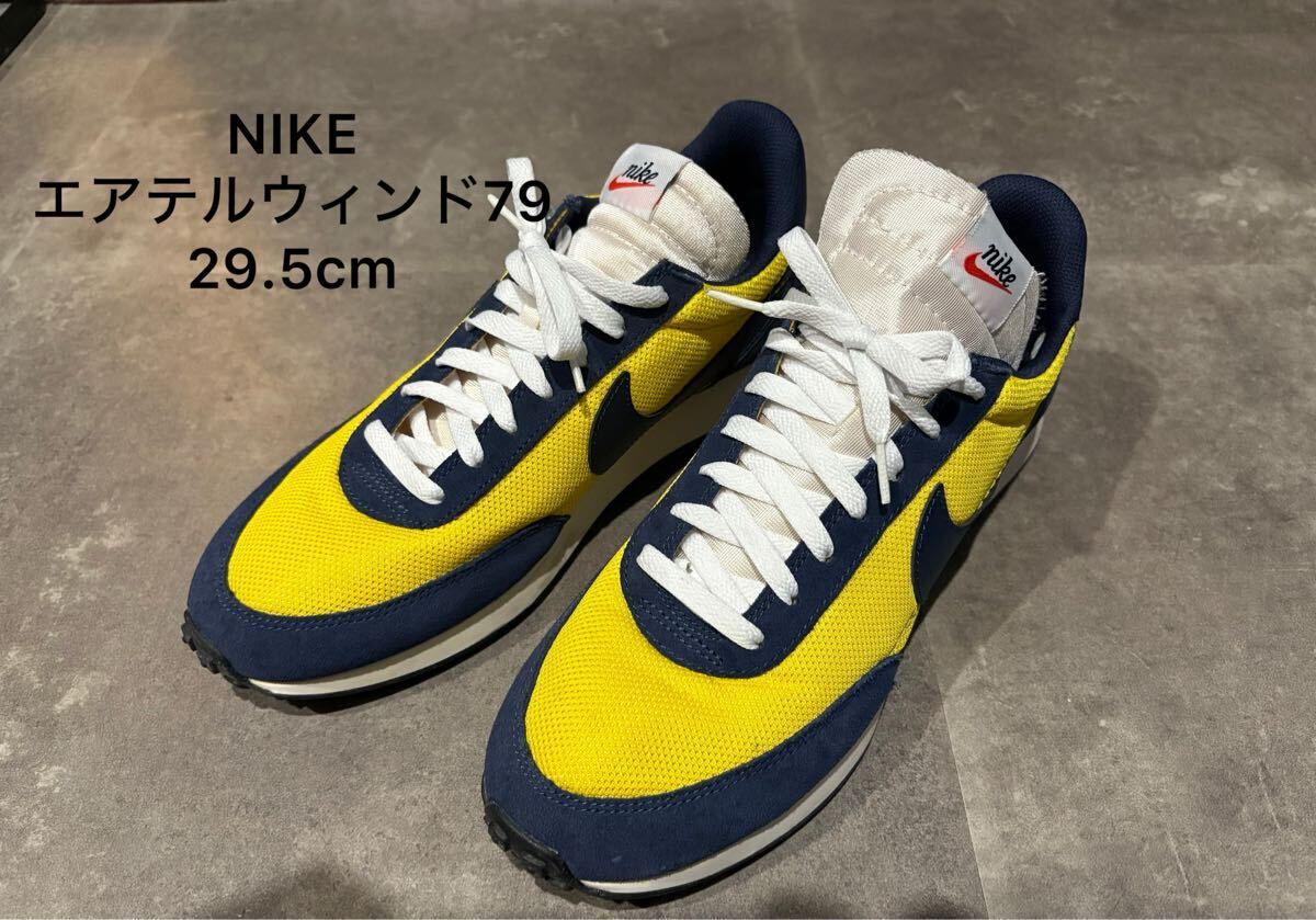 廃盤　希少　NIKE ナイキ　エアテルウインド79 スニーカー　29.5cm 即決