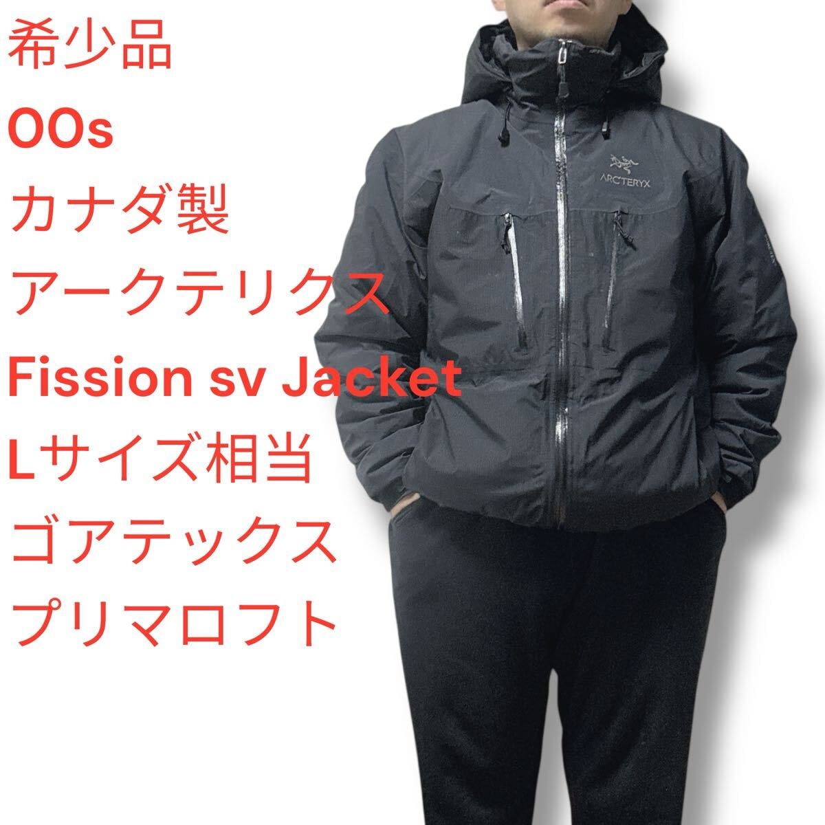 目立った傷や汚れなし】00s Arc'teyrx Fission sv アークテリクス