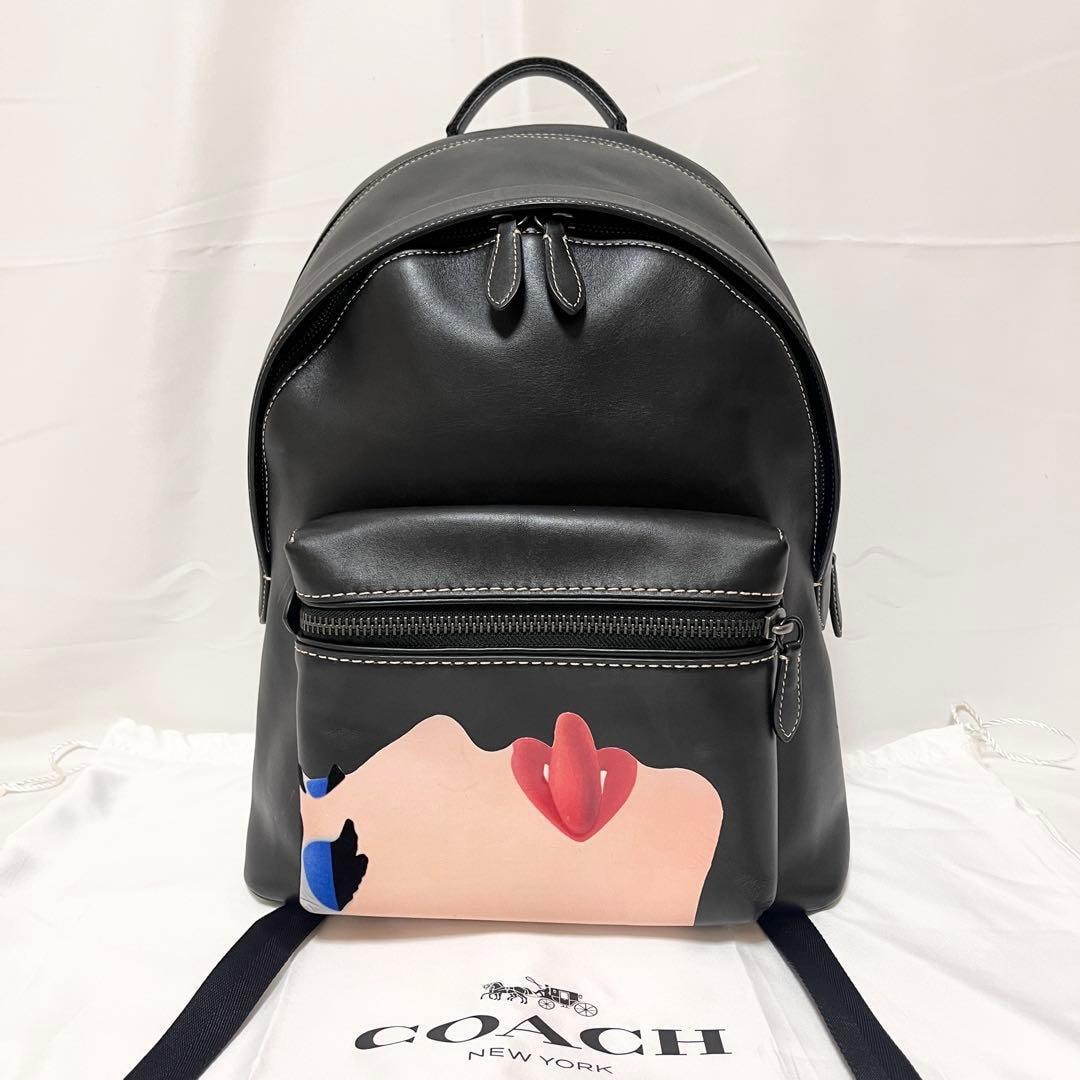 C (やや傷や汚れあり)】COACH（コーチ） アシュリー レザー ホーボー