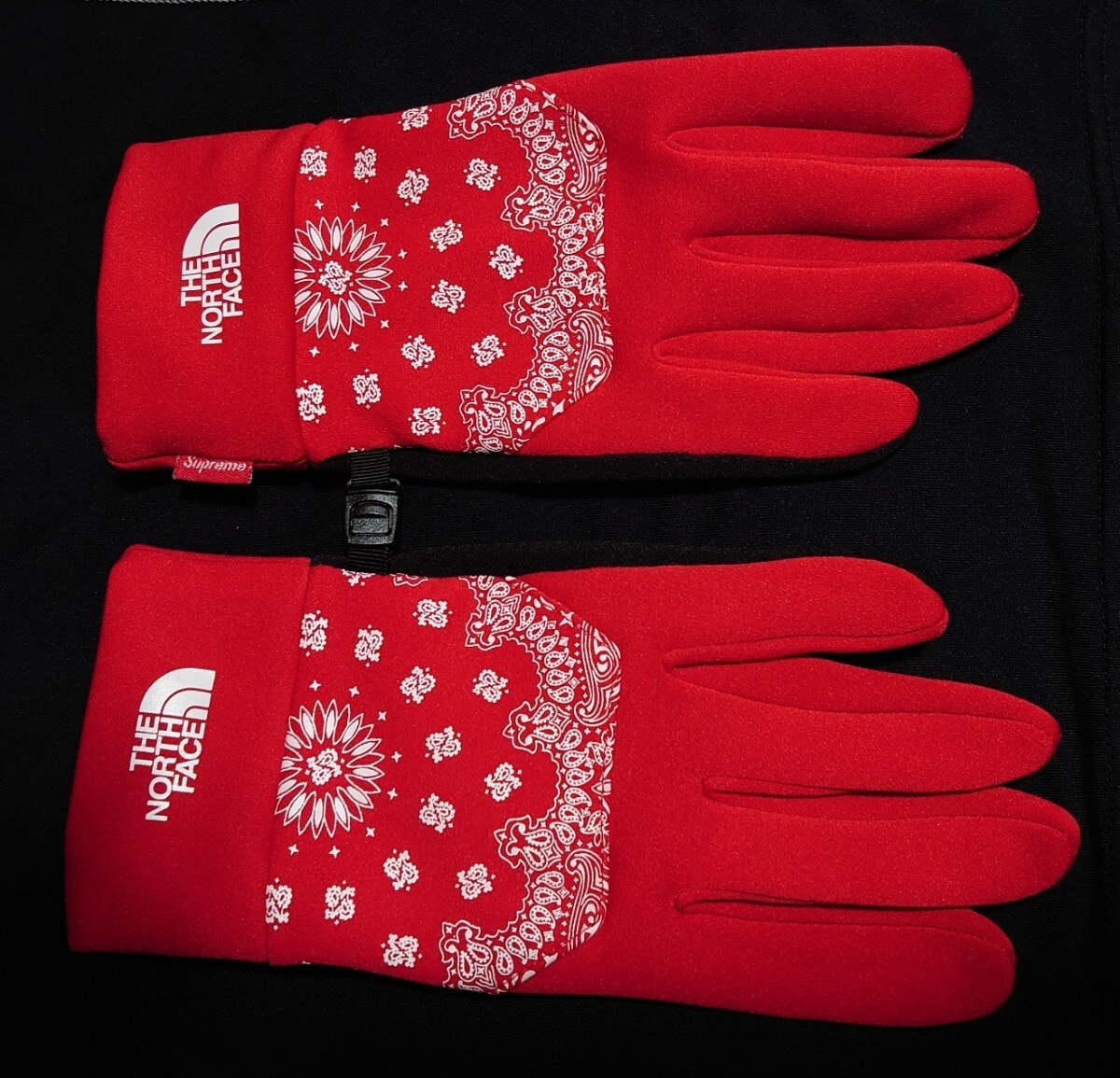 B (目立った傷や汚れなし)】希少 Supreme THE NORTH FACE Bandana ETIP