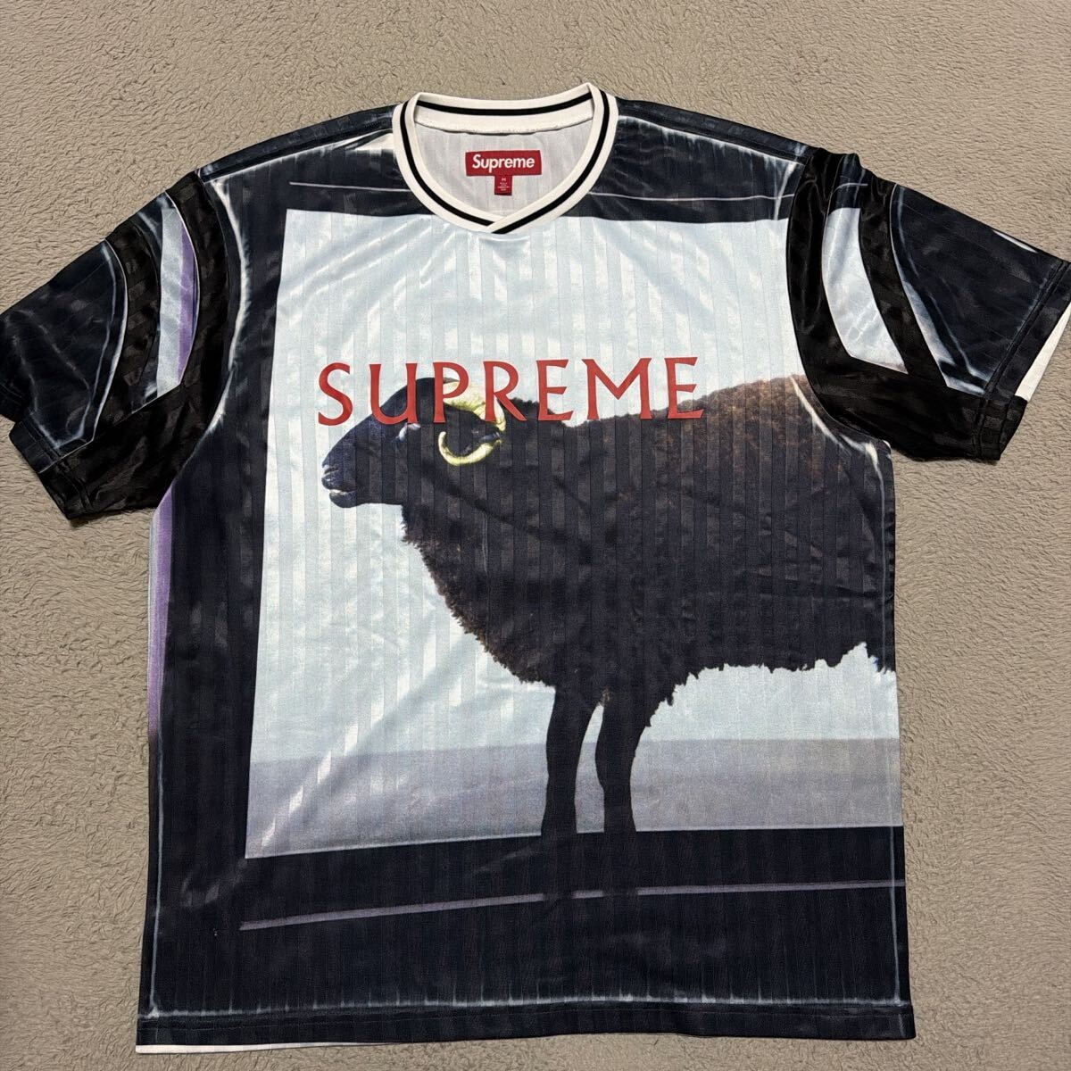 A (未使用に近い)】25ss Supreme Damien Hirst Soccer Jersey tシャツ