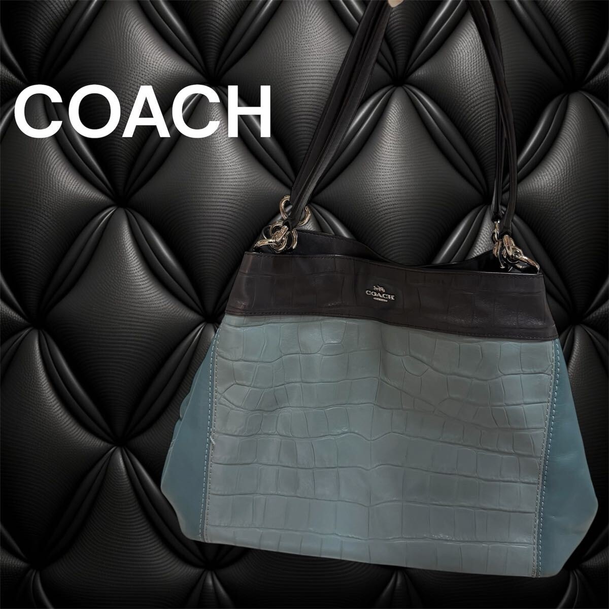 B (目立った傷や汚れなし)】COACH コーチ ミニシグネチャー ブラック