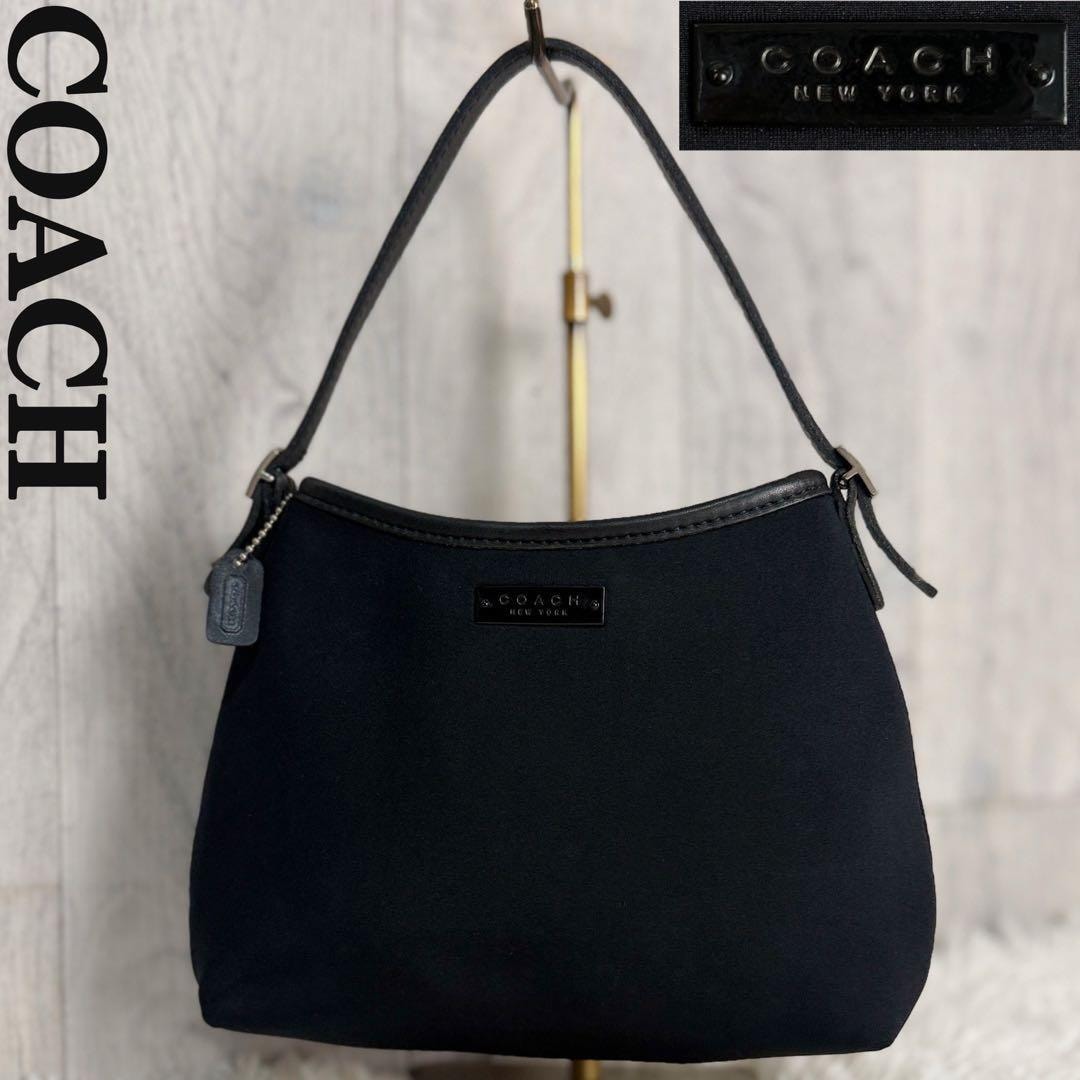 B (目立った傷や汚れなし)】COACH（コーチ） 10227 トートバッグ