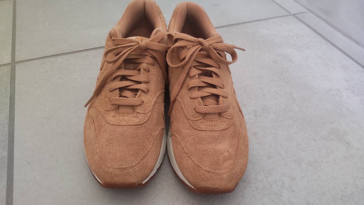 ナイキ エアマックス1 プレミアム "フラックス"(2017)