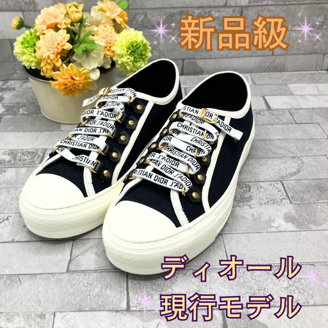 ウォーキン ディオール コットンキャンバス スニーカー 現行販売デザイン 新品級