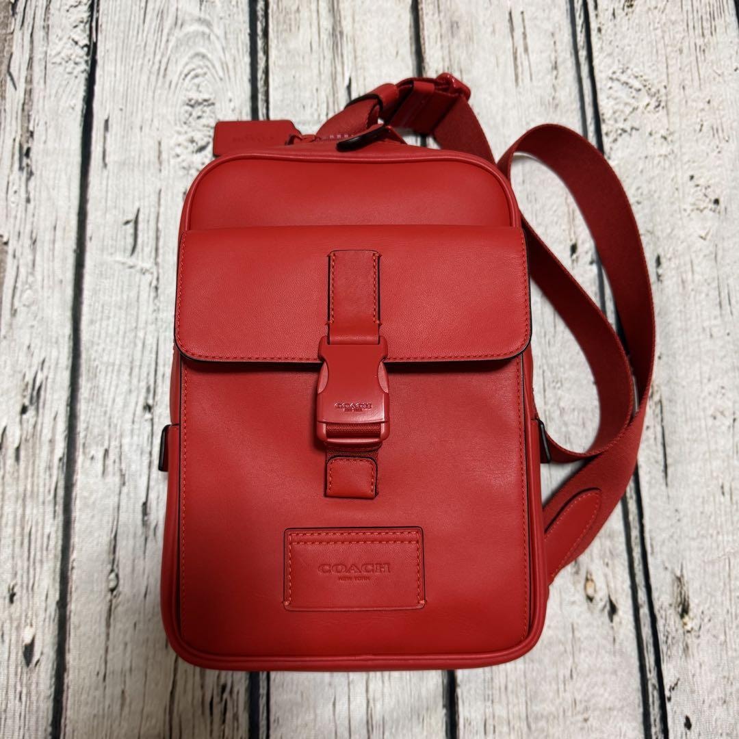 未使用⭐️ 極美品 COACH マイクロ ゾーイ クロスボディバッグ imgrc0094747140.jpg