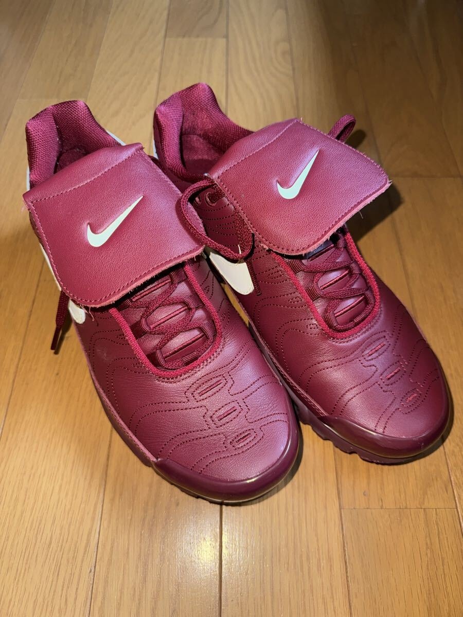 ナイキ エアマックスプラス ティエンポ "チームレッド"