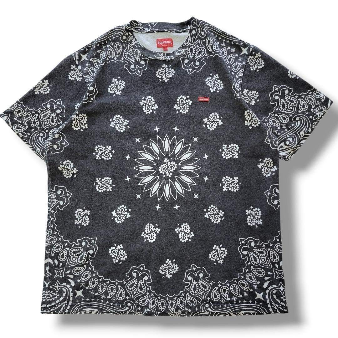 Supreme Small Box L/S Tee (26SS) 