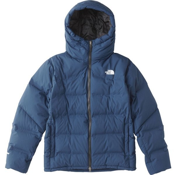THE NORTH FACE ノースフェイス ND91715 GORE-WINDSTOPPER BELAYER PARKA ビレイヤーパーカ ダウン ジャケット S ブルー メンズ