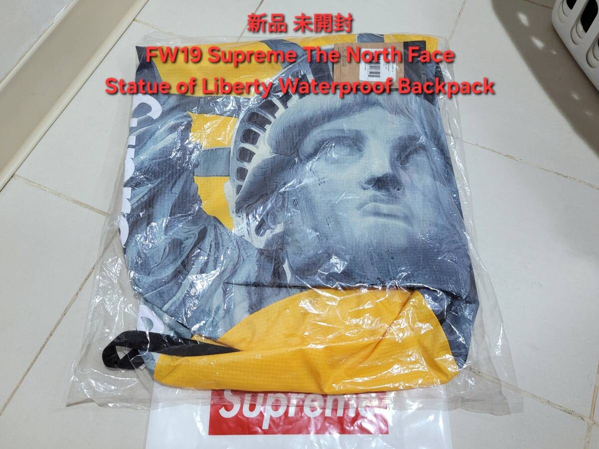 Supreme The North Face Statue of Liberty Waterproof Backpack シュプリーム ザ ノース フェイス スタチュー オブ リバティ バックパック