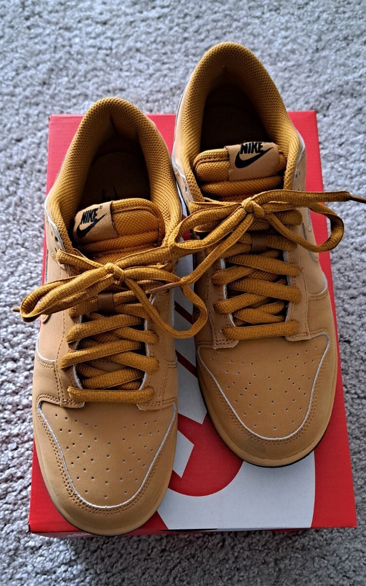 ☆NIKE/ナイキ ダンク LOW レトロ SE 新品未使用品☆