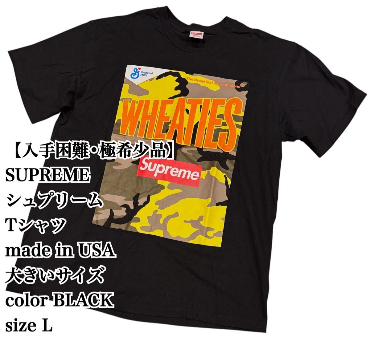 【入手困難】Supreme Tシャツ 黒 L USA シュプリーム 大きいサイズ BLACK ストリート アメリカ製 極希少品 ビックシルエット 大人気 完売 