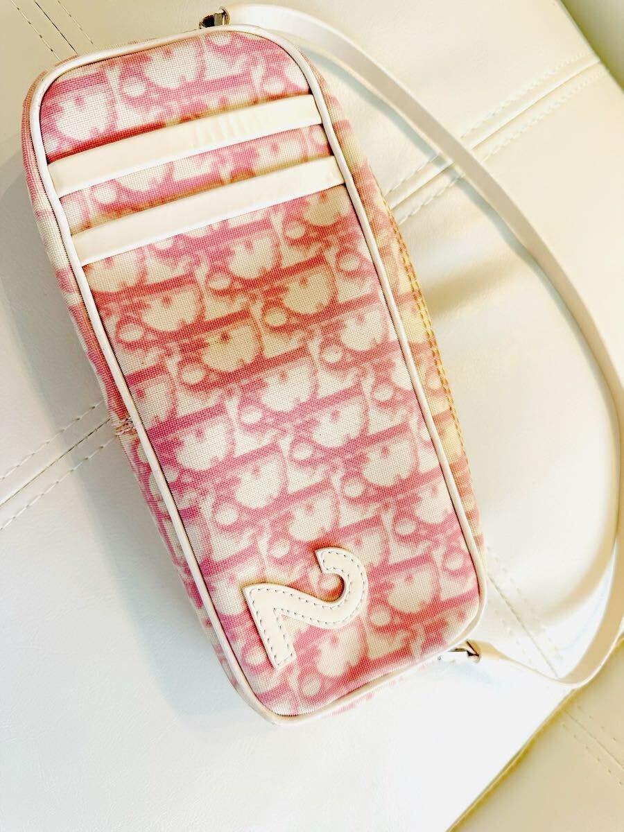 3/31まで出品★DIOR ディオールトラベル スモール ヴァニティ Christian Dior（クリスチャン・ディオール） （未使用 展示品