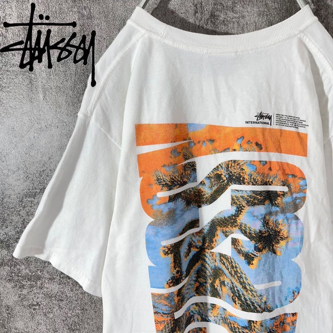 [大人気]　ステューシー　Tシャツ　ビックプリント◎　ストックロゴ　サボテン
