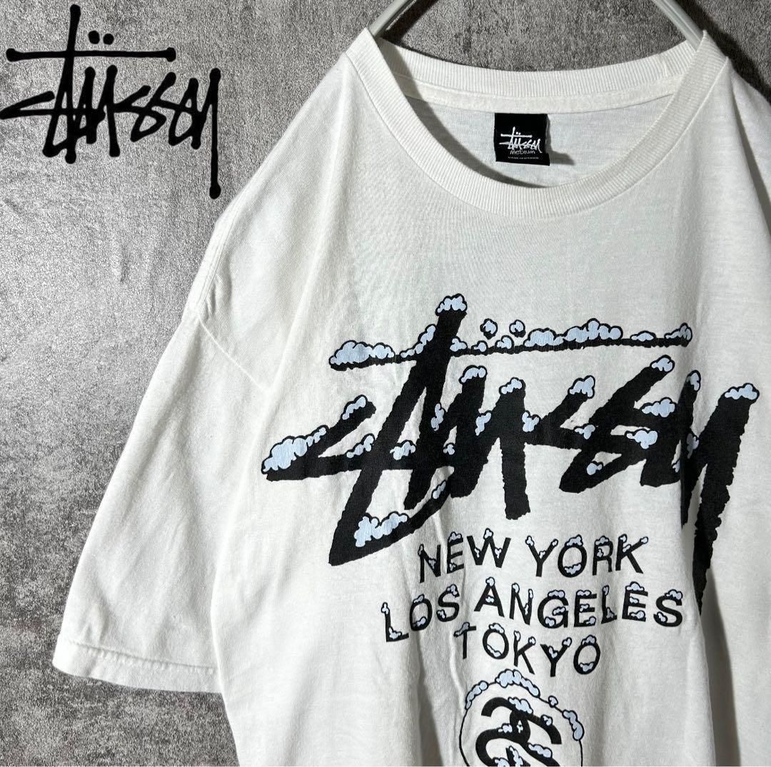 [大人気] ステューシー　Tシャツ　ワールドツアー　雪　スノー　SSリンク　レア