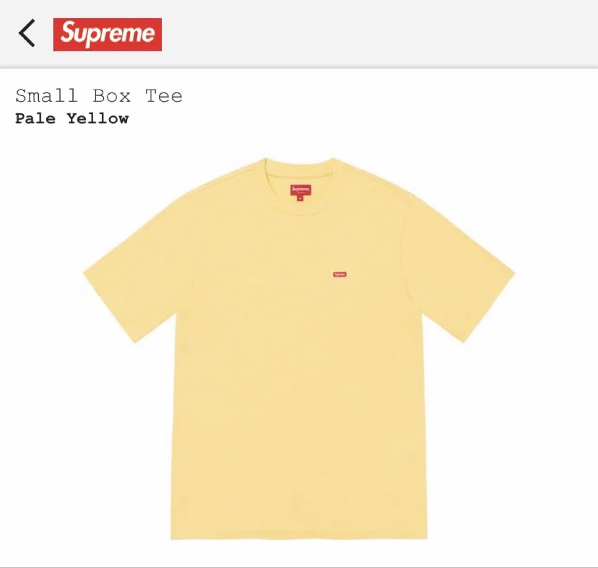 Supreme Small Box Tee ペールイエロー XLサイズ Tシャツ シュプリーム スモールボックス ボックスロゴ BOXLOGO