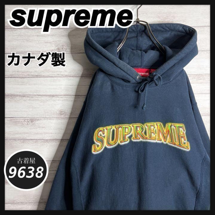 Supreme Icy Arc Hooded Sweatshirt 