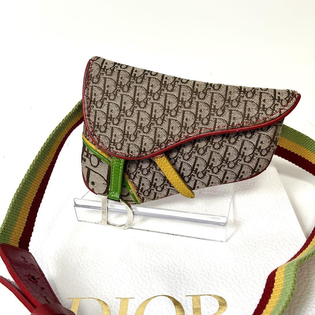 Diorトロッター ラスタ　キャンバス ウエストポーチ　バッグ