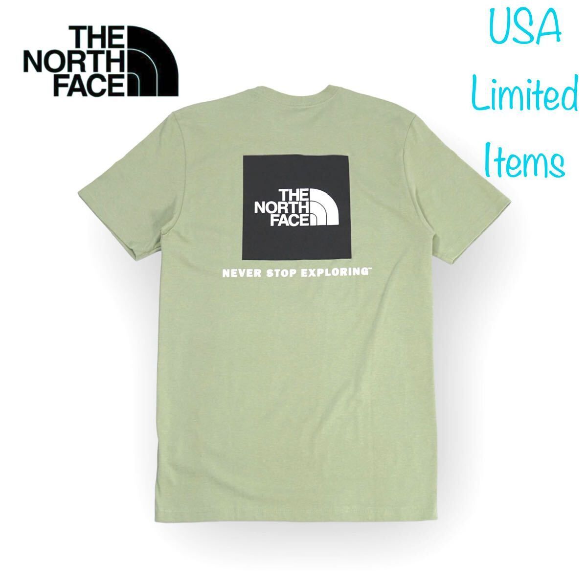 ◆日本未発売◆THE NORTH FACE NSE BOX ロゴTシャツ/ティーグリーン　US Mサイズ　ザ　ノースフェイス