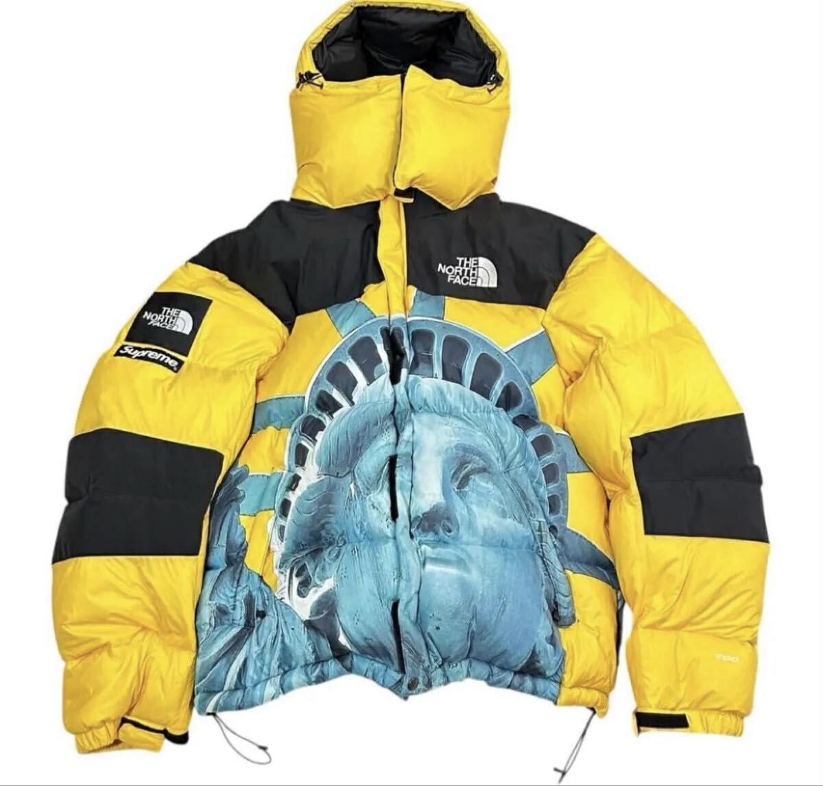 SUPREME x THE NORTH FACE コラボ 自由の女神 バルトロ ダウンジャケット 人気のMイエロー シュプリーム