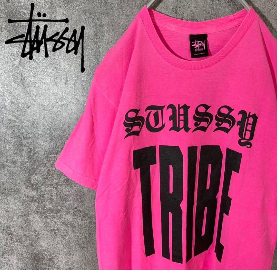 [大人気] ステューシー　Tシャツ　レアカラー　レアプリント　存在感◎ レア