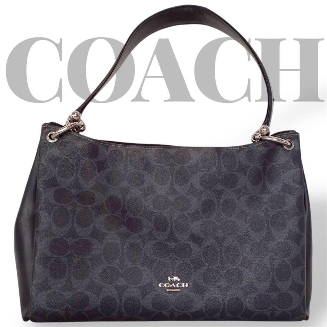 B (目立った傷や汚れなし)】コーチ COACH ハンドバッグ ラージダブル 