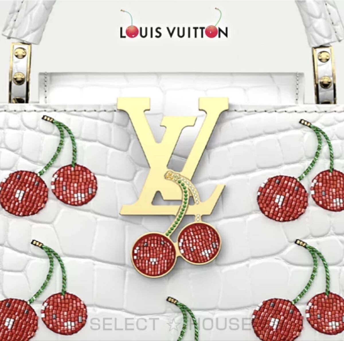 LOUIS VUITTONLV × 村上隆ルイ・ヴィトンLV x TM - カプシーヌ ミニバッグ