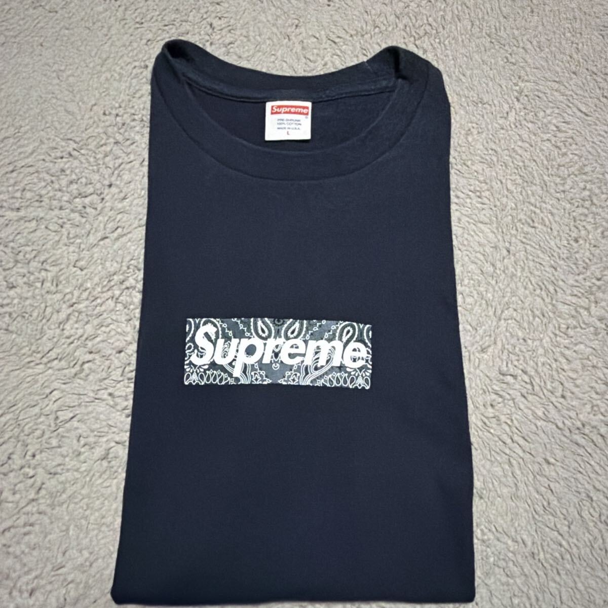 Supreme Dust Tee 