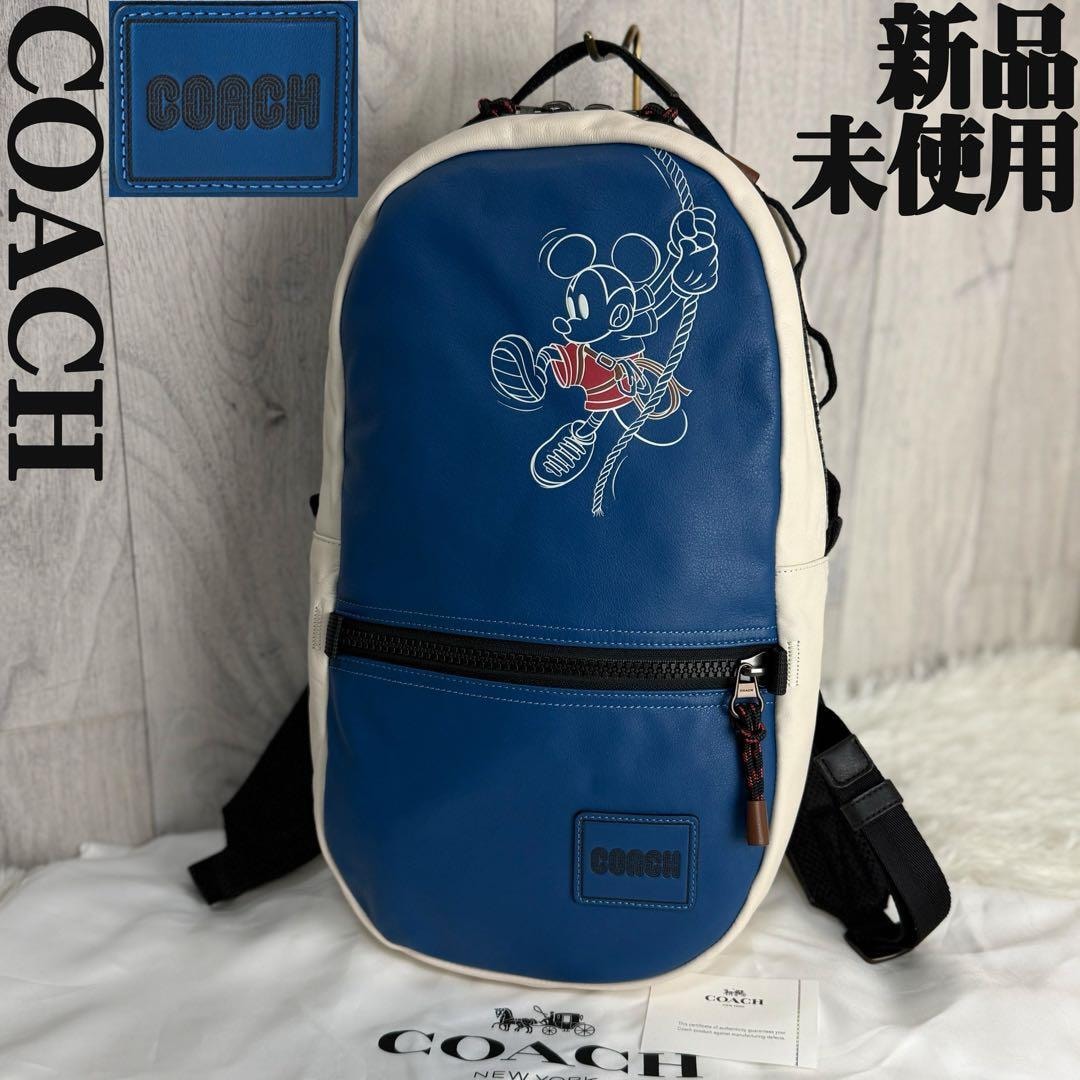 A+ (新品・未使用(ワケあり))】新品 保存袋付 A4可 COACH コーチ